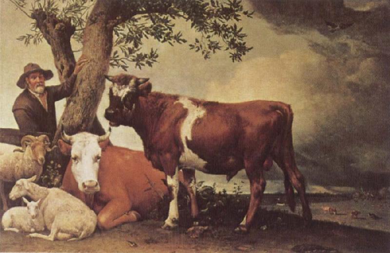 POTTER, Paulus Young Bull Norge oil painting art